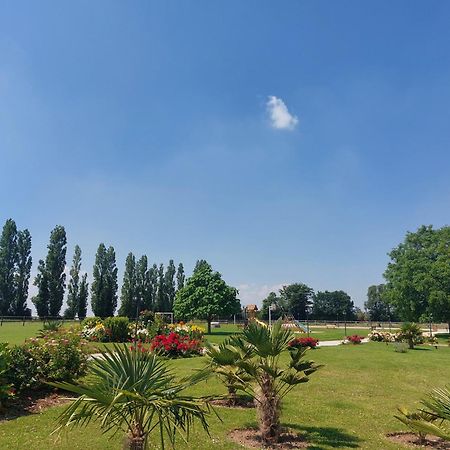 ホテル Domaine De Soignolles エクステリア 写真