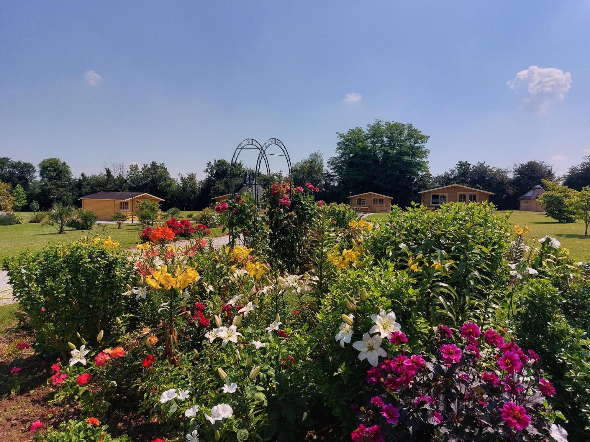 ホテル Domaine De Soignolles エクステリア 写真