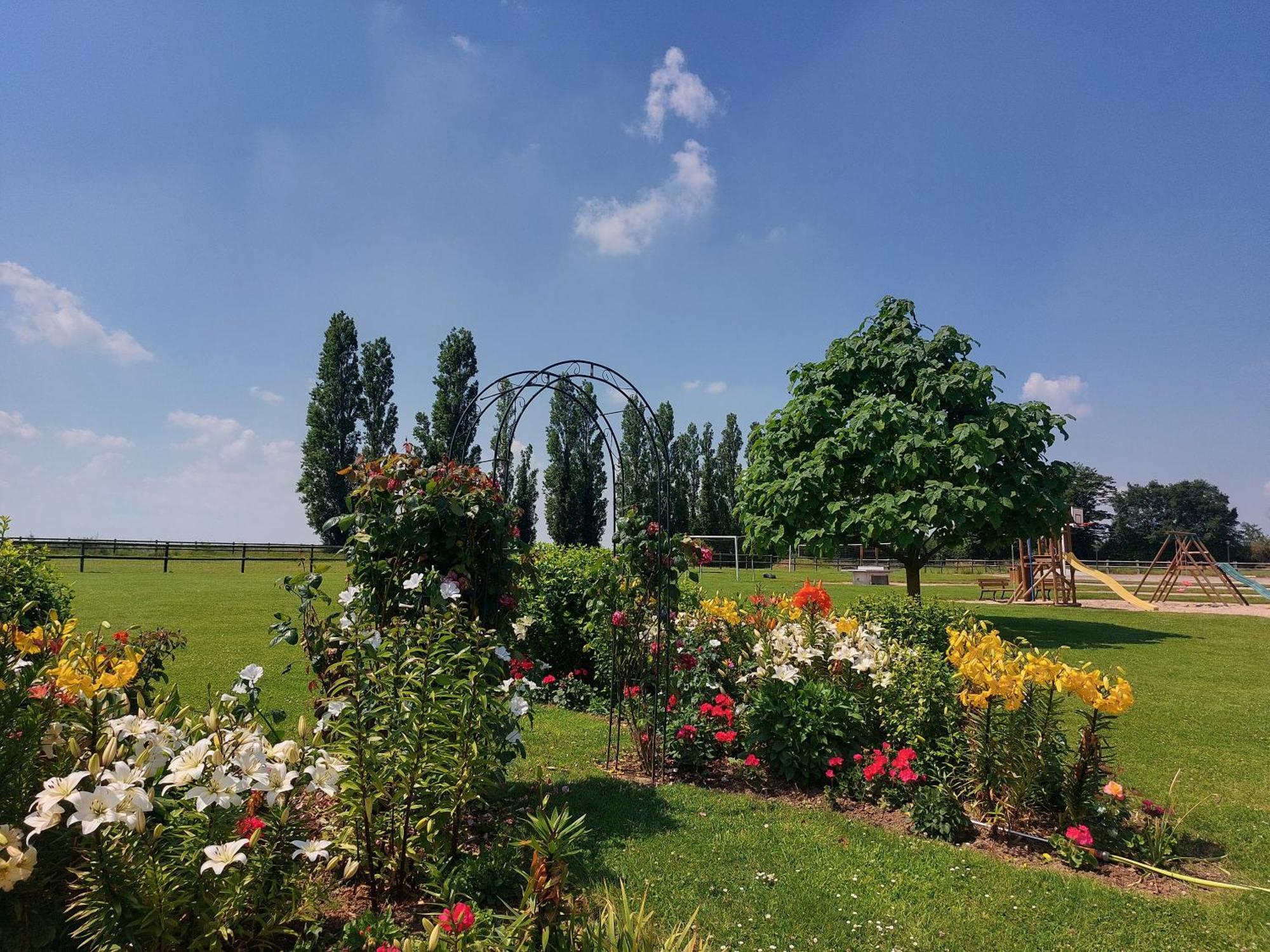 ホテル Domaine De Soignolles エクステリア 写真