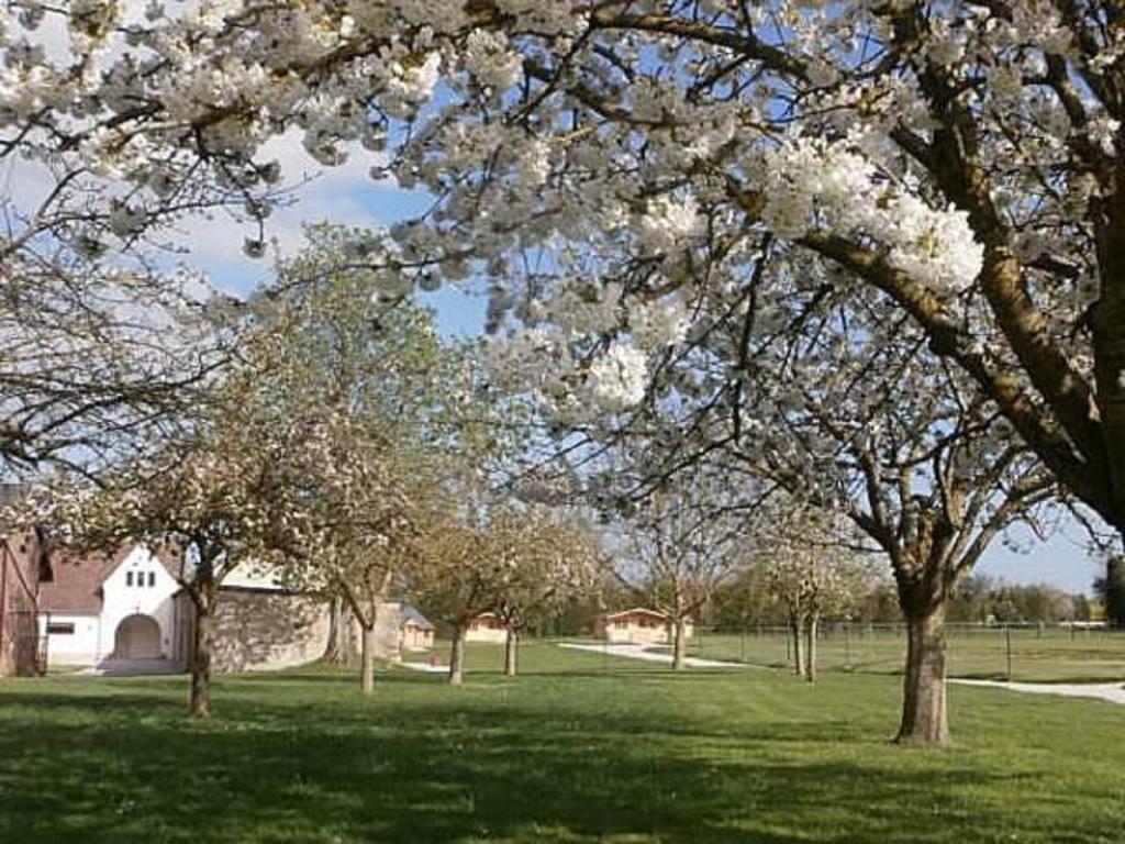 ホテル Domaine De Soignolles エクステリア 写真